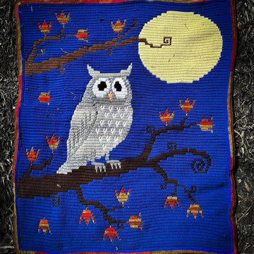 Autumn Moon Owl