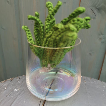 Air plant and holder