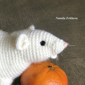 Rat