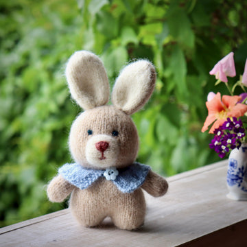 Sunny the Bunny