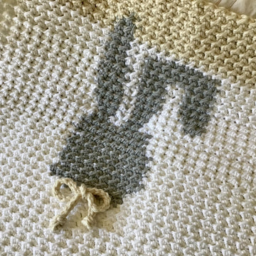 The Paris Bunny Baby Blanket