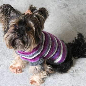 Kaya dog sweater (XS)