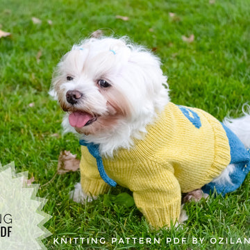 Minion jumpsuit for dog