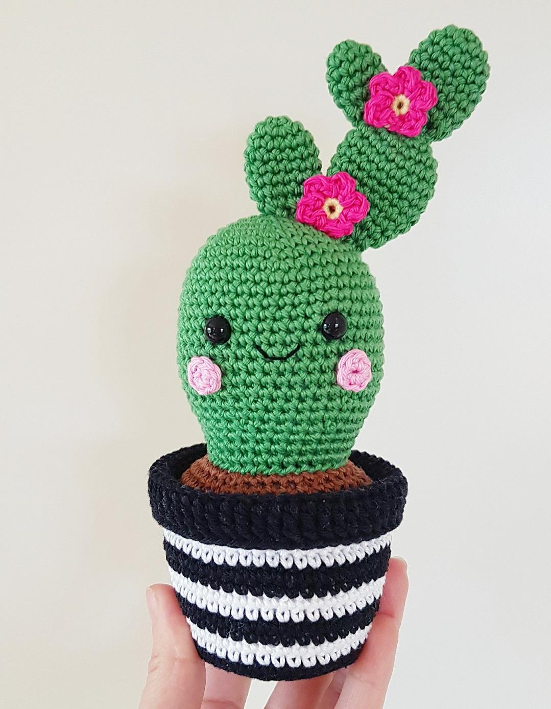 Cactus Friends
