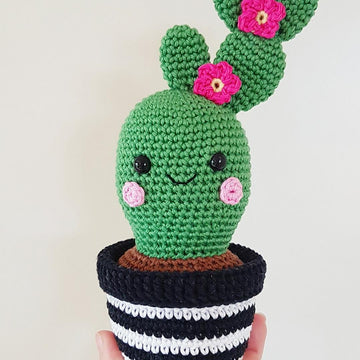 Cactus Friends