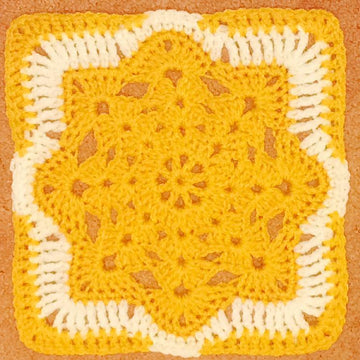 Courtyard Tiles Afghan