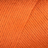 Pumpkin (9765)