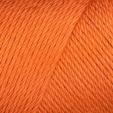 Caron Simply Soft