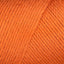 Pumpkin (9765)