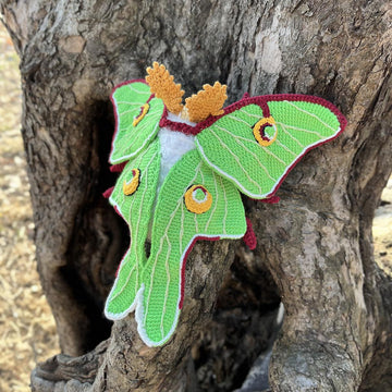 Luna Moth
