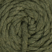 Aspen (S805)