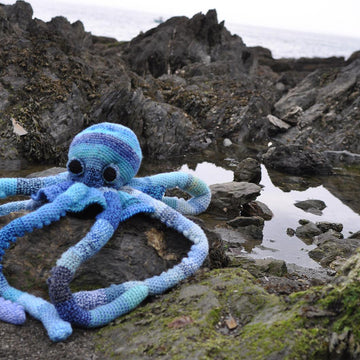 Giant Octopus