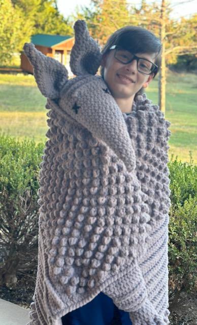 Armadillo Blanket