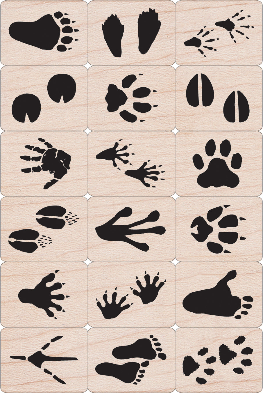 Hero Arts Ink 'n Stamp Tub 3"X4" - Animal Prints