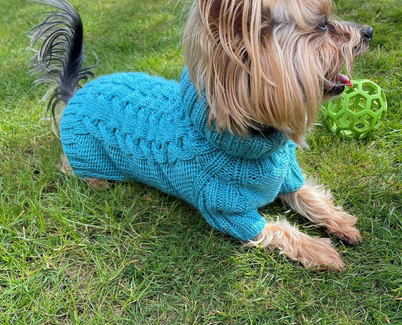 Aqua Dog or Cat Sweater