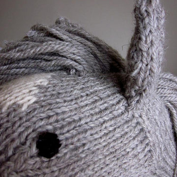 Hobby Horse for Little Knights