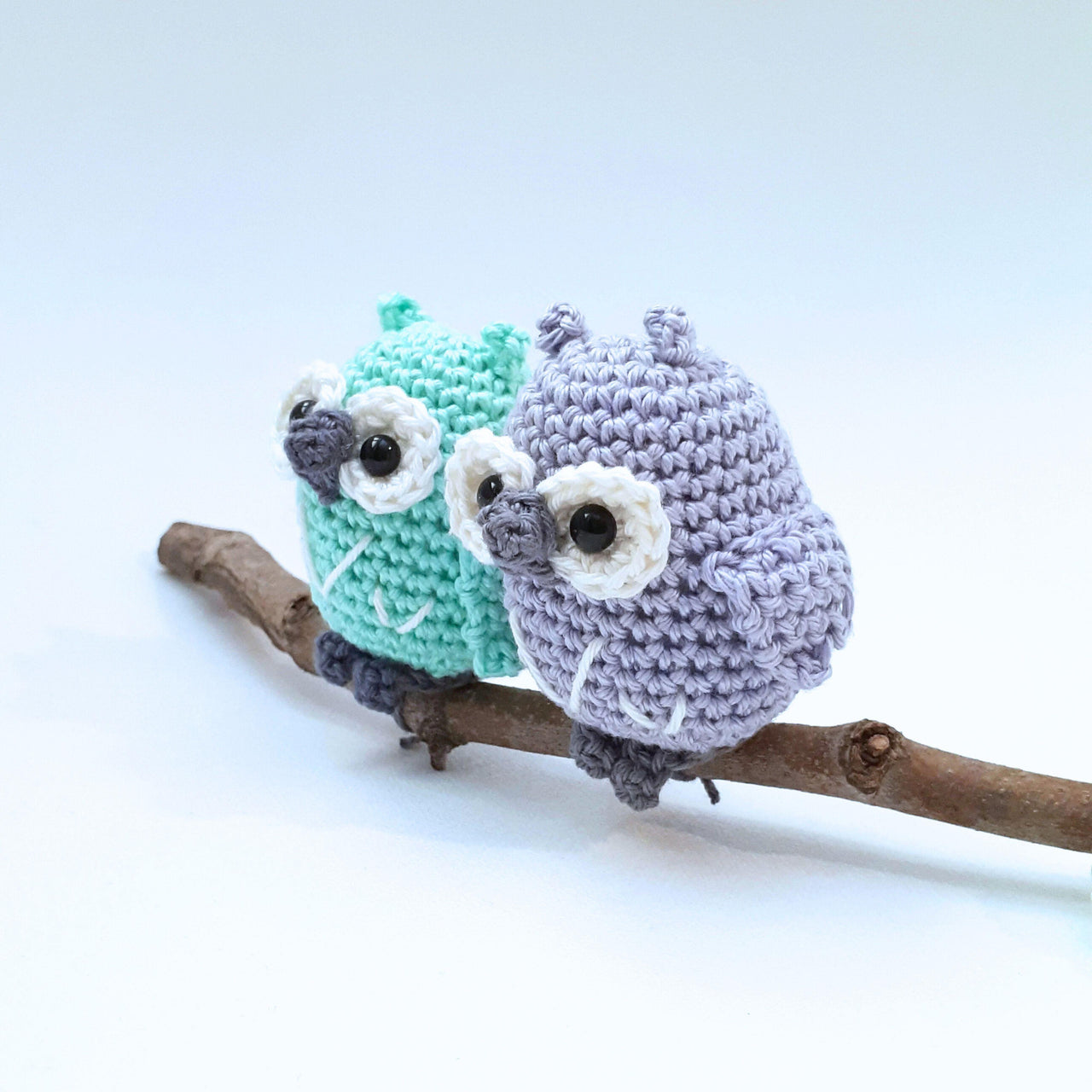 Owls couple on a branch