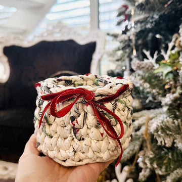 Little Organizing Basket with T-shirt yarn