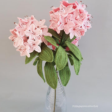 Rhododendron