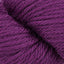 Plum Crazy (882)