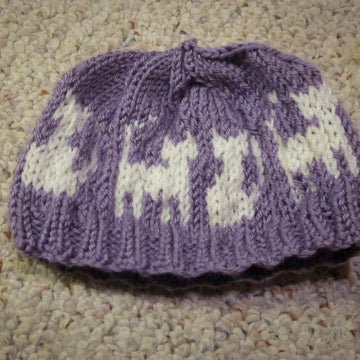 Kitty Cat Patterned Hat
