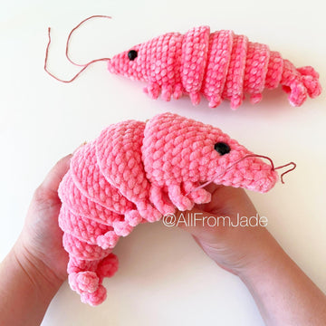 Caroline the Shrimp