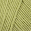 Dill (3394)