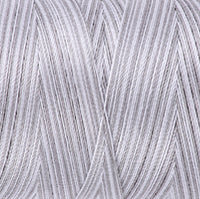 Silver Fox (4670)