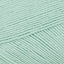 Mint (2423)
