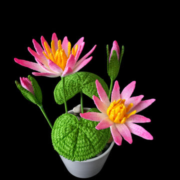 Crochet Water lily flowers pattern