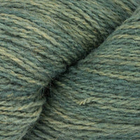 Juniper (X)