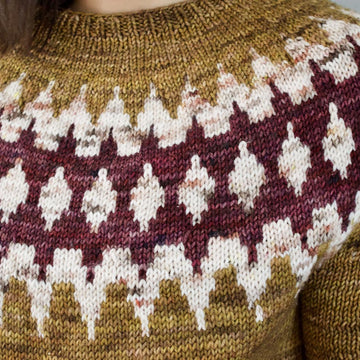 Swonchito