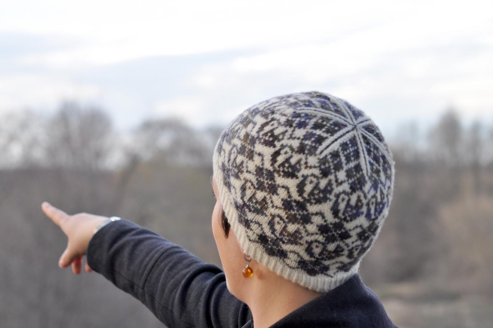 Argyle Birds Hat