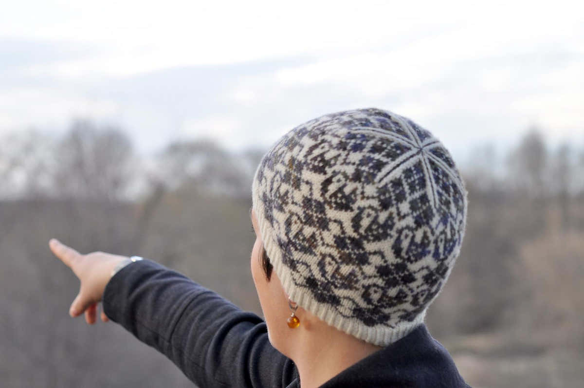 Argyle Birds Hat