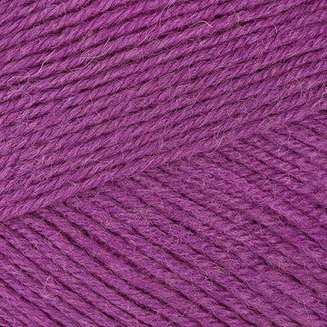Blackcurrant Bomb (735)
