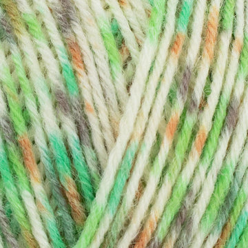 Green hairstreak (1246)