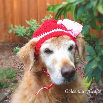 Dog Hat