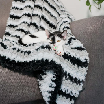 Biscuit Blanket
