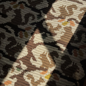 Squiggly Squirrel Blanket