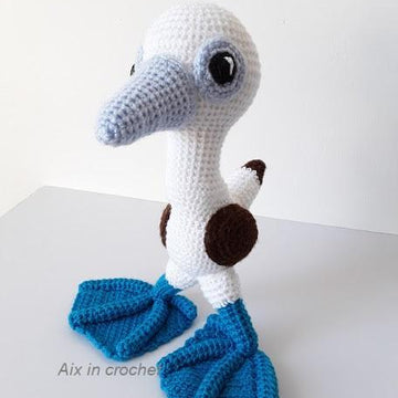 Sully the blue footed booby bird