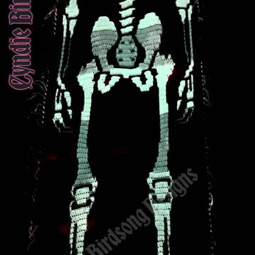 Sir Skelly Bonesington wall hanging