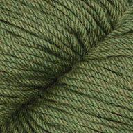 Fern (15)