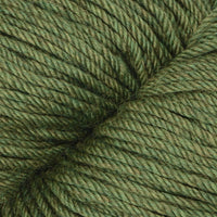 Fern (15)