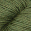 Fern (15)