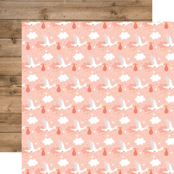 Echo Park Paper Baby Girl Double-Sided Cardstock 12"X12" 25/Pkg - Little One