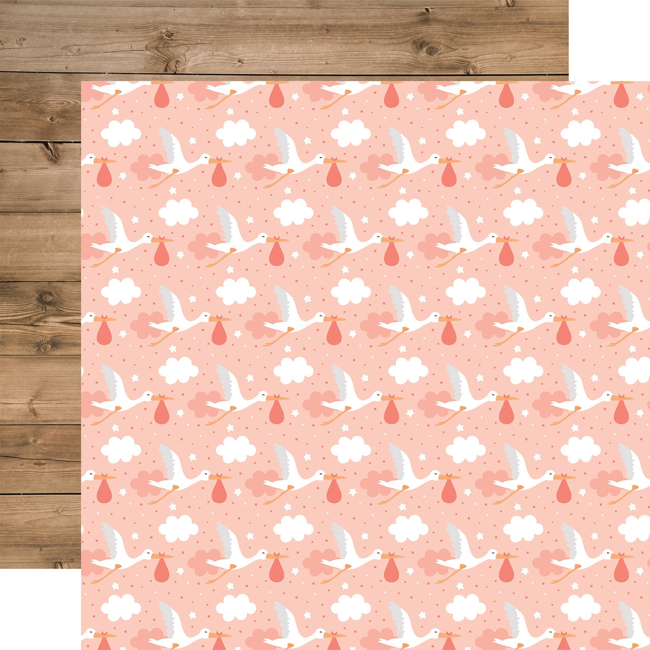 Echo Park Paper Baby Girl Double-Sided Cardstock 12"X12" 25/Pkg - Little One