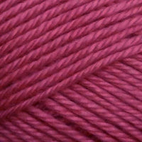 Raspberry (70-10)
