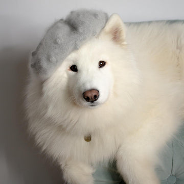 Falling Bobbles Beret