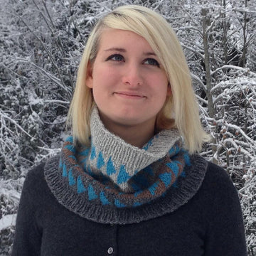Flying Geese Cowl