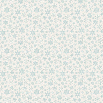 Echo Park Paper Snow Much Fun Double-Sided Cardstock 12"X12" 25/Pkg - Snowy Night